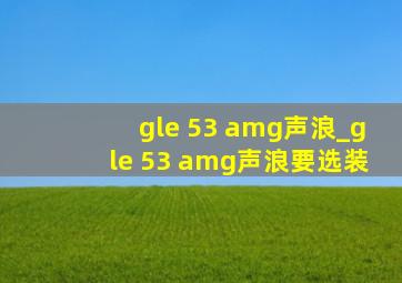 gle 53 amg声浪_gle 53 amg声浪要选装